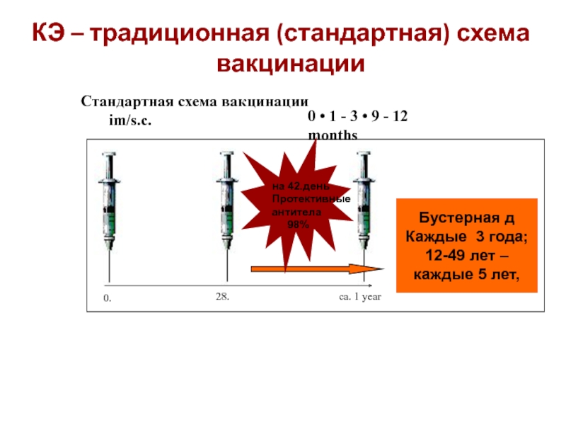 Энцевир схема вакцинации взрослым. Прививка о клещевого энцефалита схема вакцинации. Клещевой энцефалит вакцинация схема. Прививка против клещевого энцефалита схема вакцинации. Вакцина клещевого энцефалита схема вакцинации.