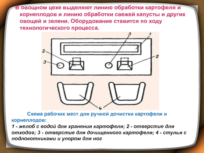 Организация рабочего места по обработке овощей. Схема рабочих мест для ручной дочистки картофеля и корнеплодов. Схема организации рабочего места по обработке картофеля. Организация рабочего места для обработки корнеплодов. Схема оброботеиикорнеплодов.