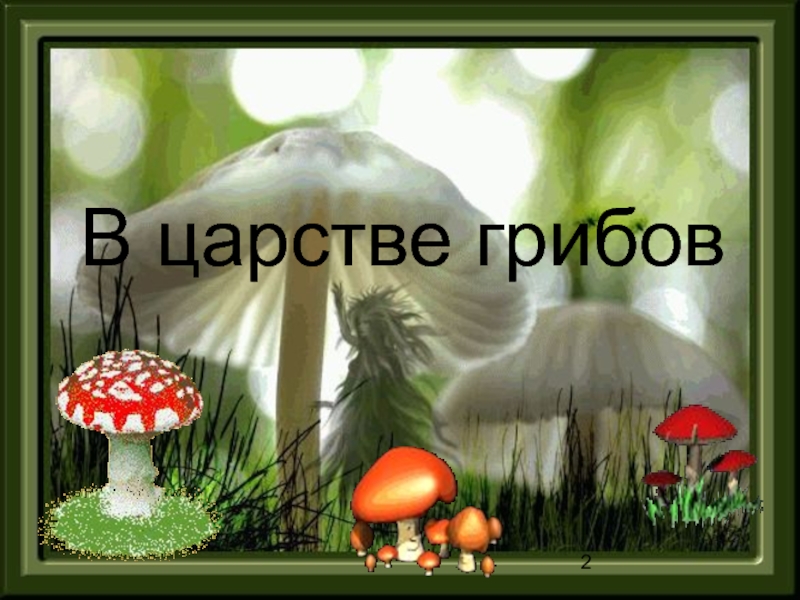 Грибной 2. Царство грибов. Окружающий мир тема грибы. Презентация по окружающему миру грибы. Царство грибов 2 класс.