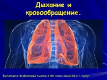 Дыхание и кровообращение (3 класс)