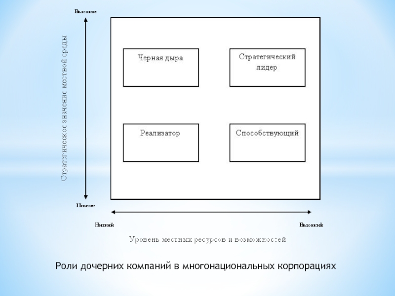 Роли дочерних компаний в многонациональных корпорациях