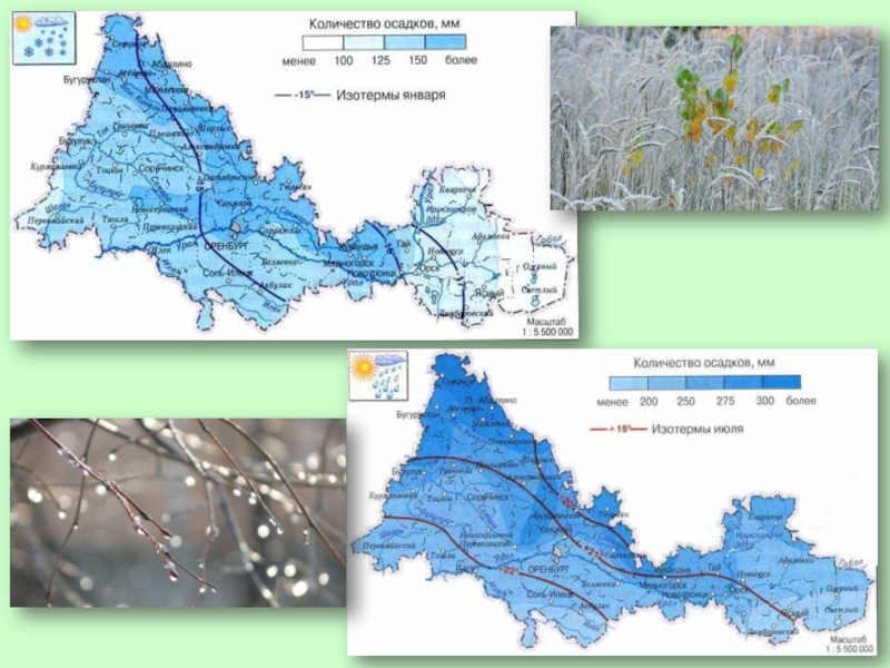 Осадки оренбург. Климат Оренбургской области карта. Климатическая область Оренбурга. Климат Оренбурга, Оренбургской области. Климатическая карта Оренбургской области.