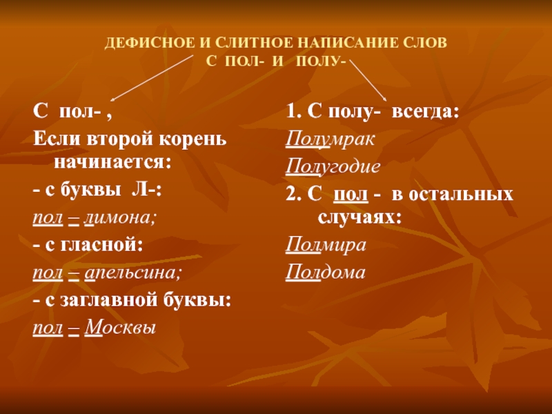 Презентация слова с пол и полу 6 класс