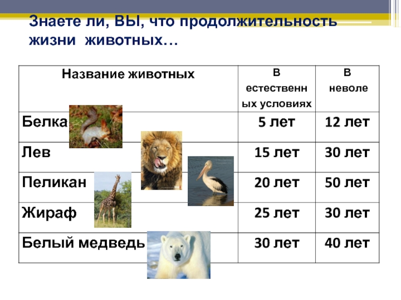 Продолжительность жизни презентация