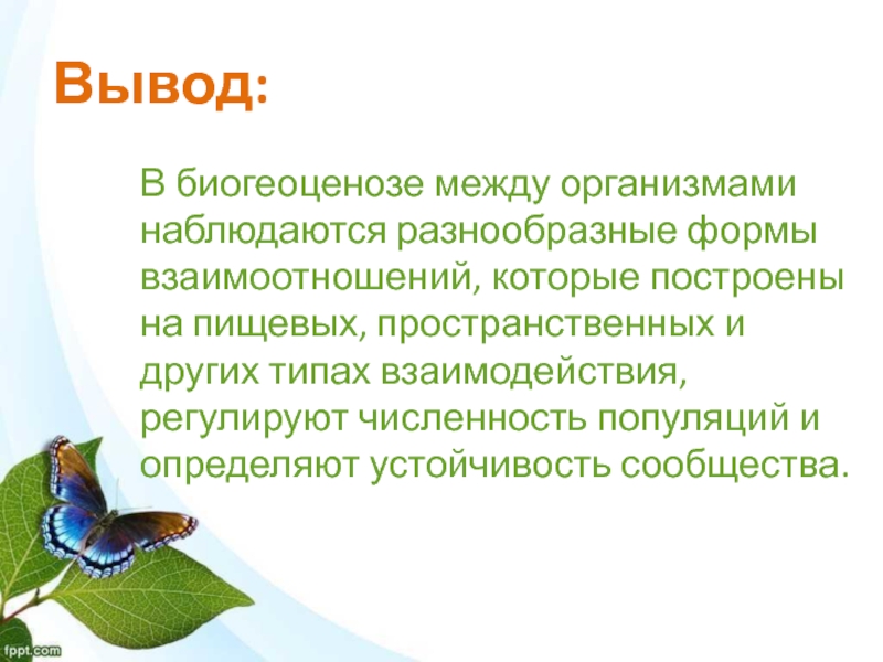 Взаимоотношения популяций разных видов в экосистеме 11 класс презентация