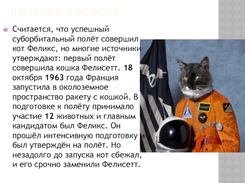 Кошки в космосеСчитается, что успешный суборбитальный полёт совершил кот Феликс, но многие источники утверждают: первый полёт совершила