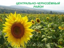 ЦЕНТРАЛЬНО-ЧЕРНОЗЁМНЫЙ
РАЙОН