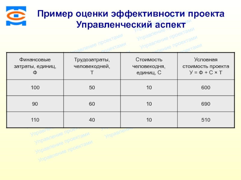 Пример оценки эффективности проекта