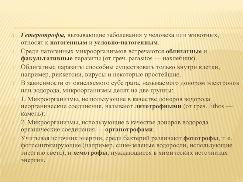 Среди патогенных бактерий наиболее часто встречаются. Факультативные паразиты.