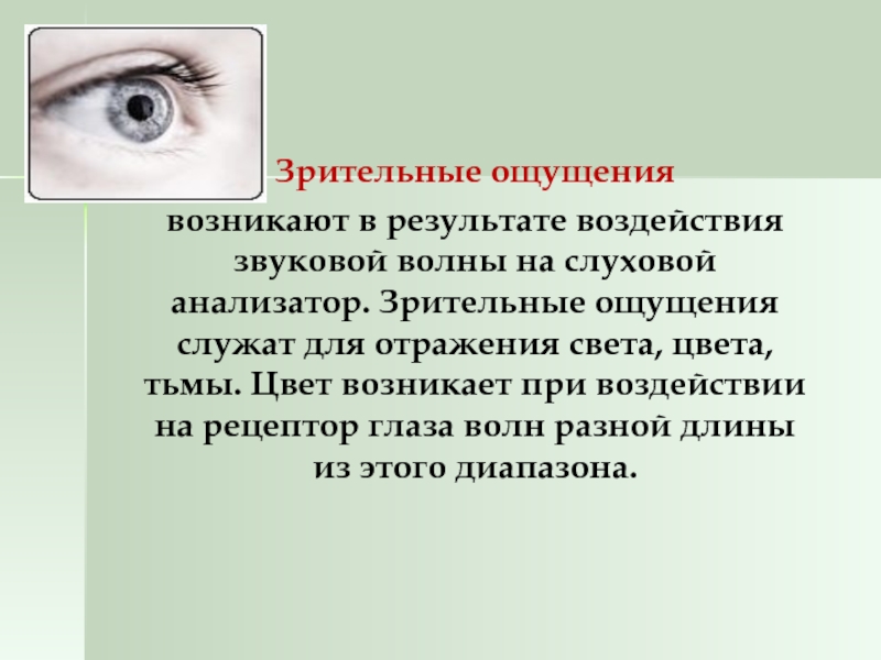 Формирование зрительных ощущений