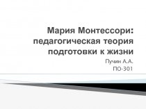 Мария Монтессори : педагогическая теория подготовки к жизни