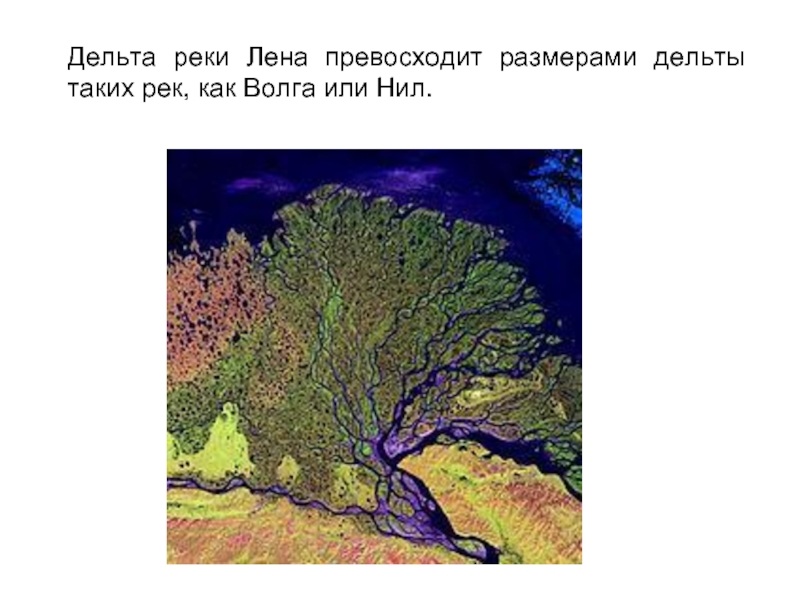 Дельта реки Лена превосходит размерами дельты таких рек, как Волга или Нил.