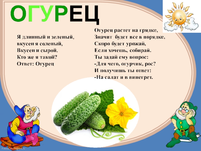 Рассказ про огурцов. Загадки про овощи. Загадки и стихи про овощи для детей. Сказка про овощи. Загадки про полезные овощи и фрукты.