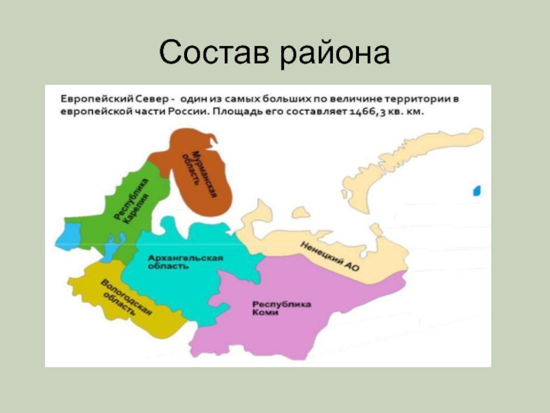 Самый большой экономический район россии по площади. Состав Северного европейского района.