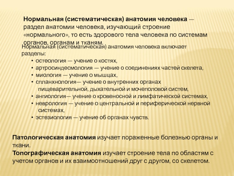 Разделы анатомии. Систематическая анатомия. Разделы систематической анатомии. Разделы нормальной анатомии.