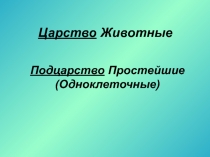 Царство Животные. Подцарство Простейшие (Одноклеточные)