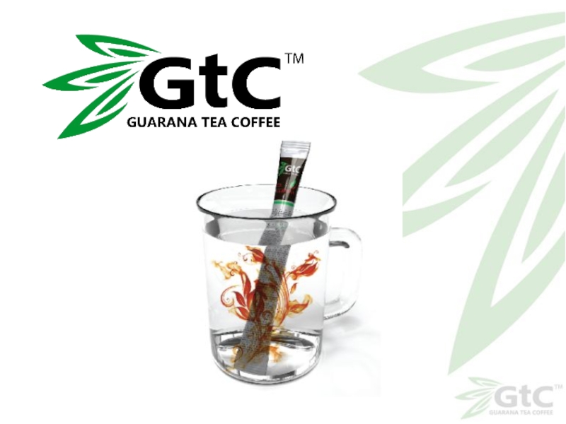 Презентация чая GTC