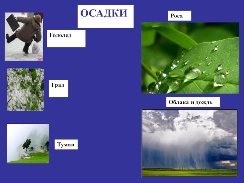 Вода осадки. Атмосферные осадки роса. Виды весенних осадков. Знаки осадков роса. Роса облака.