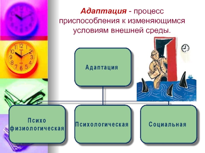 Процесс приспособления. Адаптация к внешней среде. Адаптация ок условиям внешней среды. Адаптация к изменяющимся условиям. Приспособление к условиям внешней среды.