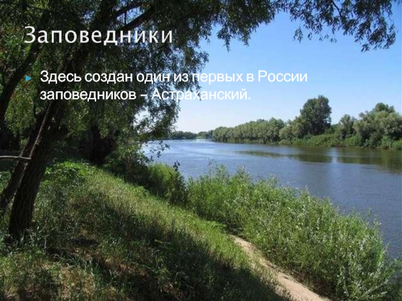 Здесь создан один из первых в России заповедников – Астраханский.