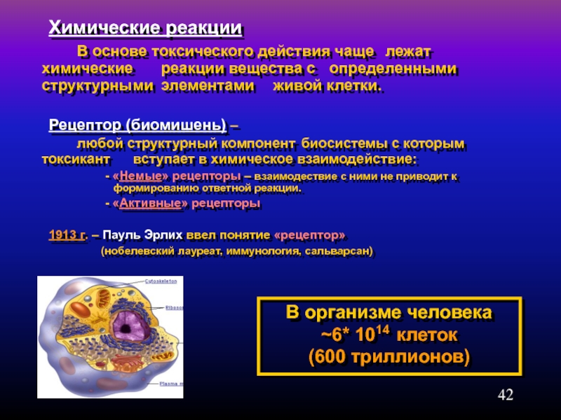 Химические реакции в организме человека проект