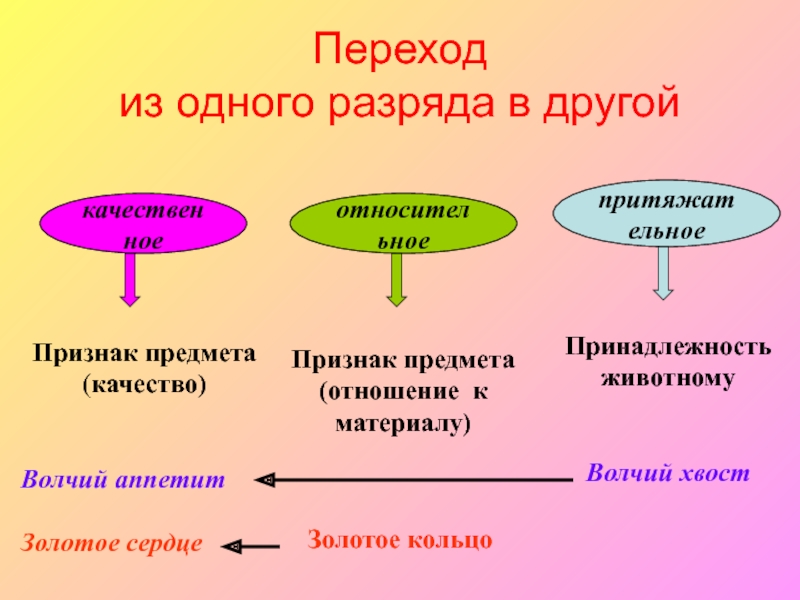 Принадлежность предмета. Внешние качества предмета. Переход прилагательных из разряда в разряд. Притяжательные прилагательные переход в качественные. Волчий аппетит разряд прилагательного.