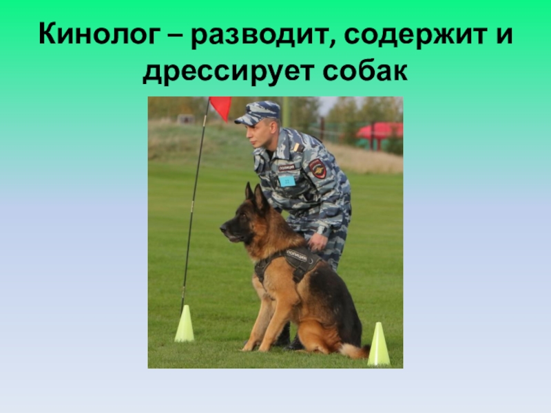 Какая профессия кинолога. Профессия кинолог. Проект о профессии кинолог. Профессия кинолог для детей. Кинилиг профессия.