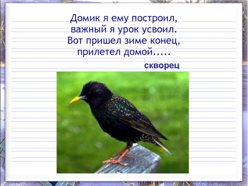 Снегирев скворец презентация 1 класс школа 21 века