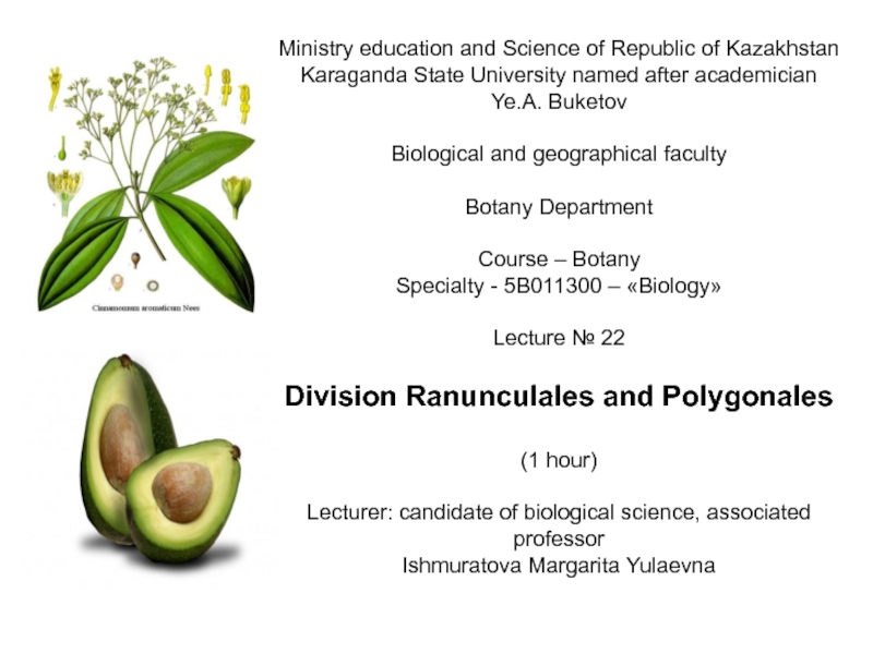 Презентация Ministry education and Science of Republic of Kazakhstan
Karaganda State