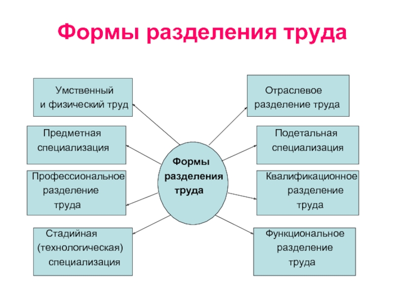 Сферы производства и разделение труда проект