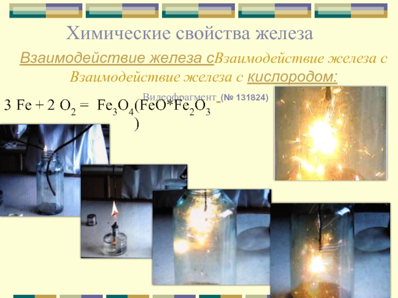 Химические свойства железаВзаимодействие железа сВзаимодействие железа с Взаимодействие железа с кислородом: Видеофрагмент (№ 131824)Fe +  O2