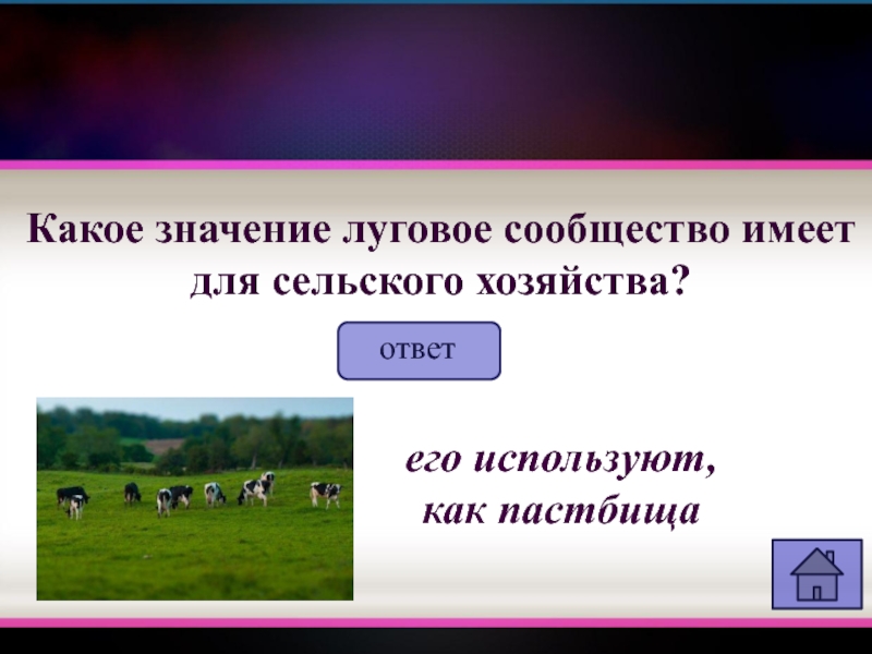 Значение пастбища. Значение сельского хозяйства. Пастбище как проверить. Какое значение для людей имеет сельское хозяйство. Значит луговые сообщество.