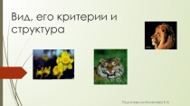 Вид, его критерии и структура