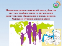 Межведомственное взаимодействие субъектов системы профилактики по организации