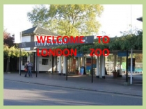 Презентация London Zoo