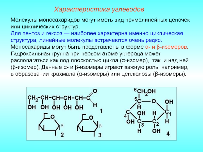 Моносахариды презентация по химии