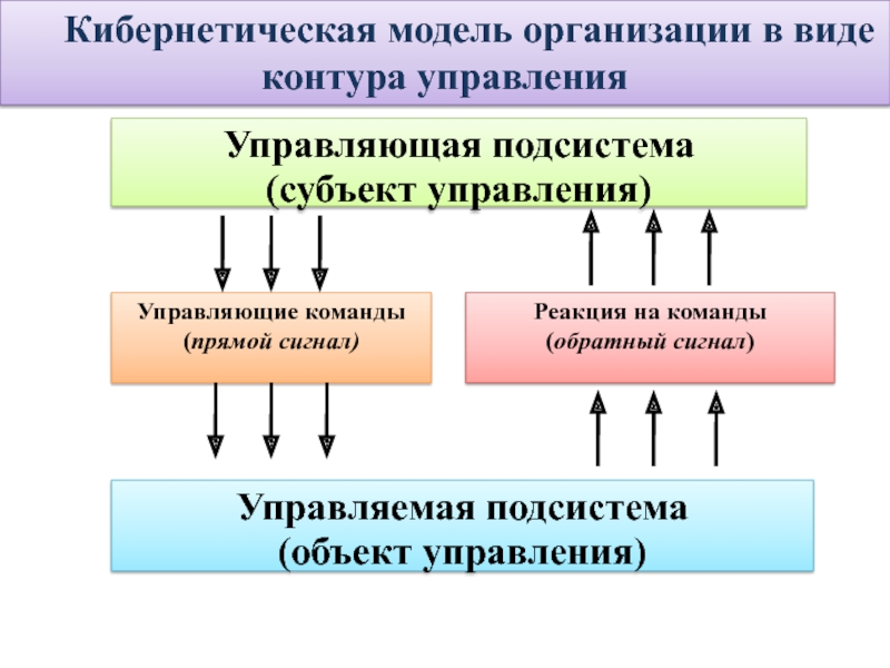 Управляющий категорией. Кибернетическая модель управления организацией. Управляющая подсистема (субъект). Управляемая подсистема - это субъект управления в организации. Кибернетическая модель организации Акперов.