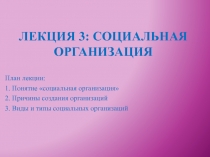 Социальная организация