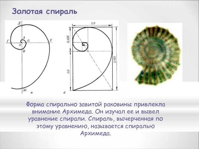 Проект спираль архимеда