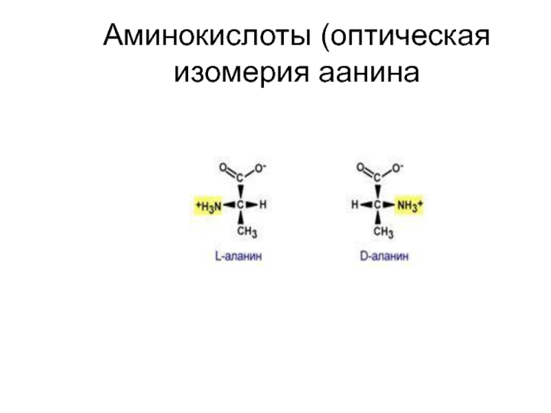 Оптические аминокислоты. Оптическая изомерия аминокислот. Изомерия аминокислот оптическая изомерия. Особенности строения аминокислот. Оптическая изомерия Амины.