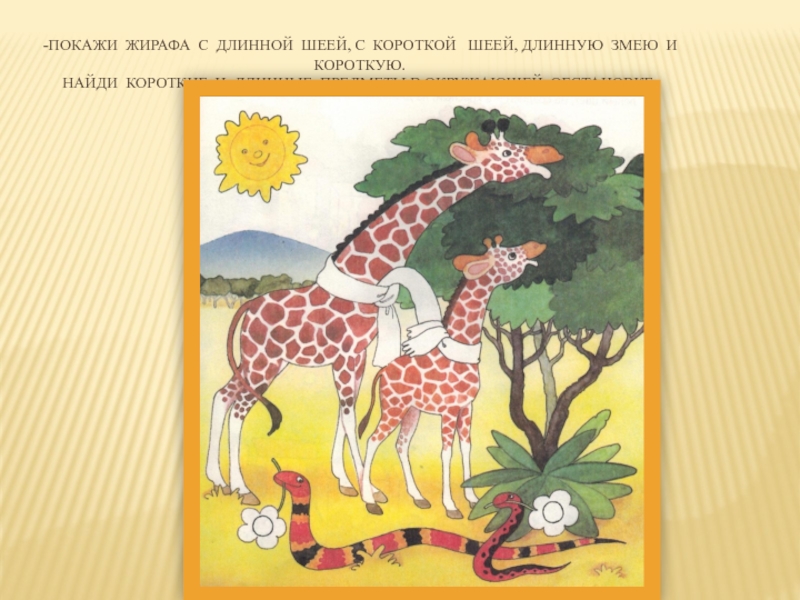 На рисунке изображен жираф. Длинная шея жирафа. Сказка про жирафа короткая. Почему у жирафа длинная шея. Сообщение про жирафа длиннее.