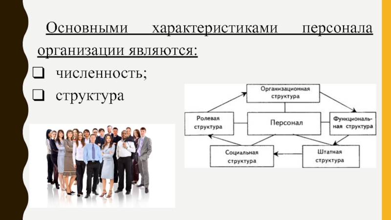 Организация основной. Структура численности персонала. Планирование численности персонала в организации. Виды численности персонала на предприятии. Структура планирование численности персонала фирмы.