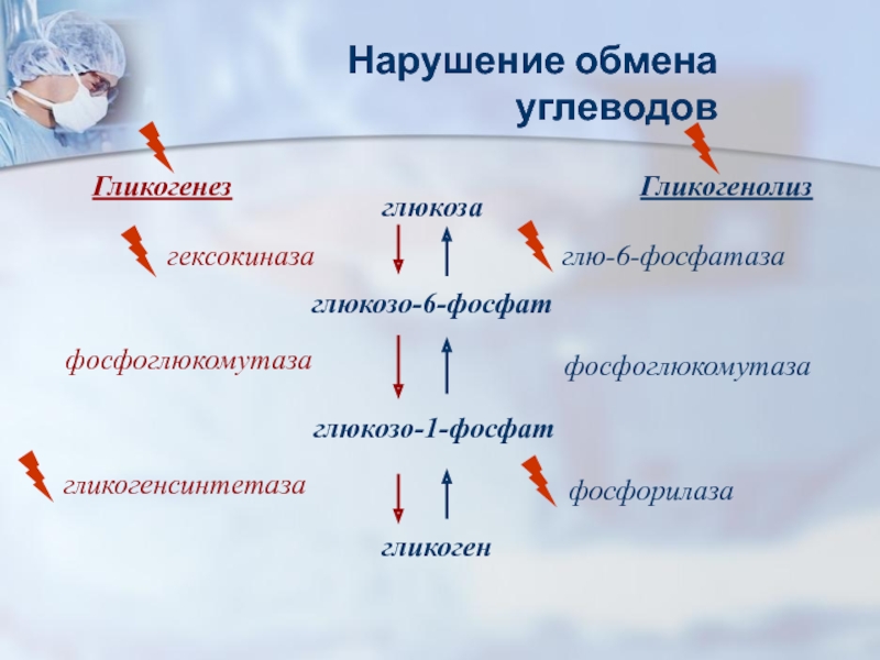 Гликогенолиз. Глюкозо 1 фосфат гликогенолиз. Фосфоглюкомутаза. Глюкозо-6-фосфатаза гликогенез. Гексокиназа фосфоглюкомутаза.