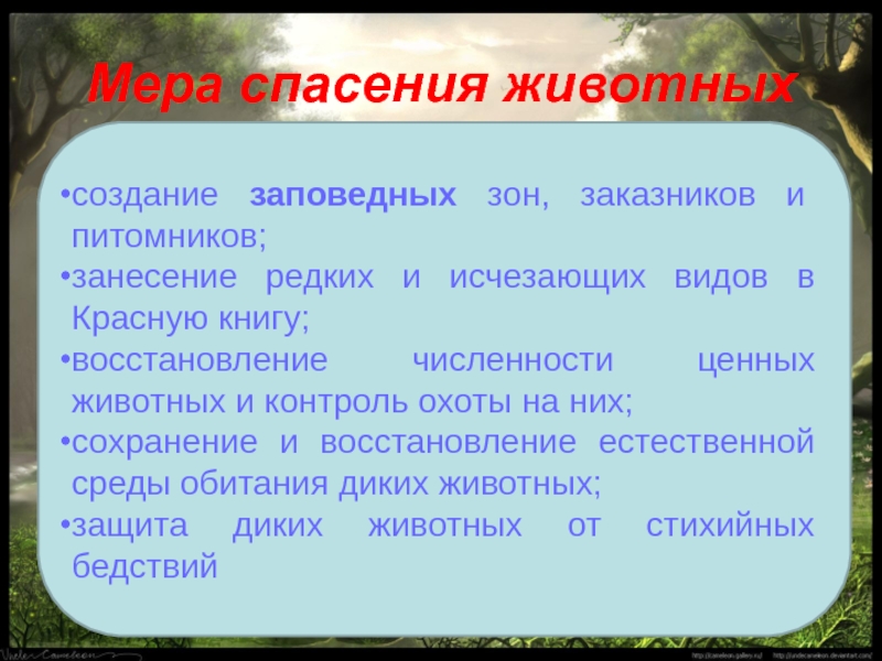 Презентация на тему восстановление численности млекопитающих 7 класс