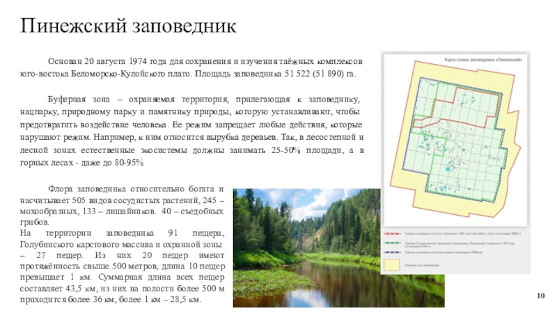 Площадь заповедников. Пинежский заповедник территория. Пинежский заповедник на карте. Сообщение о Пинежском заповеднике. Цель создания Пинежского заповедника.