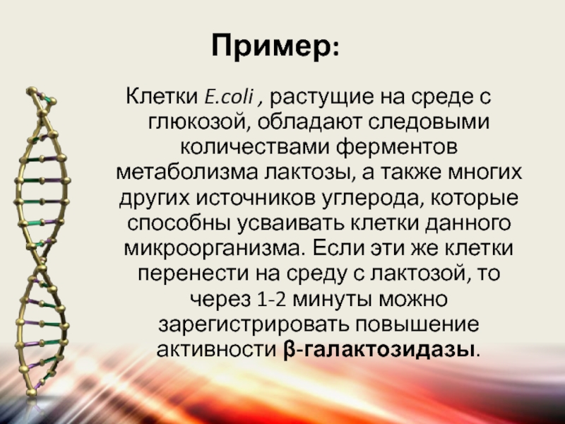 Клетка е 2. Примеры клеток. Клеточный примеры. Клеточное э это.