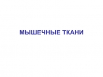 МЫШЕЧНЫЕ ТКАНИ