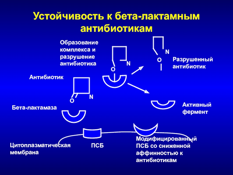 Антибиотики снижают температуру