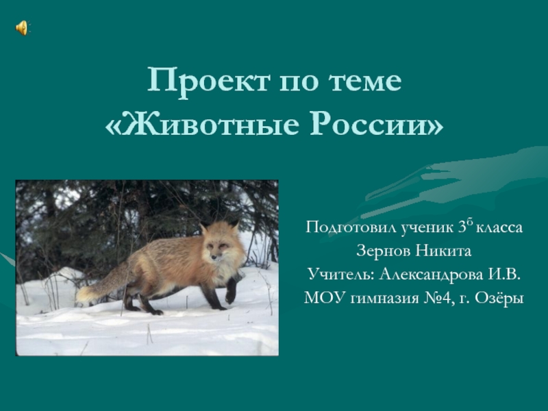 Проект по теме «Животные России»