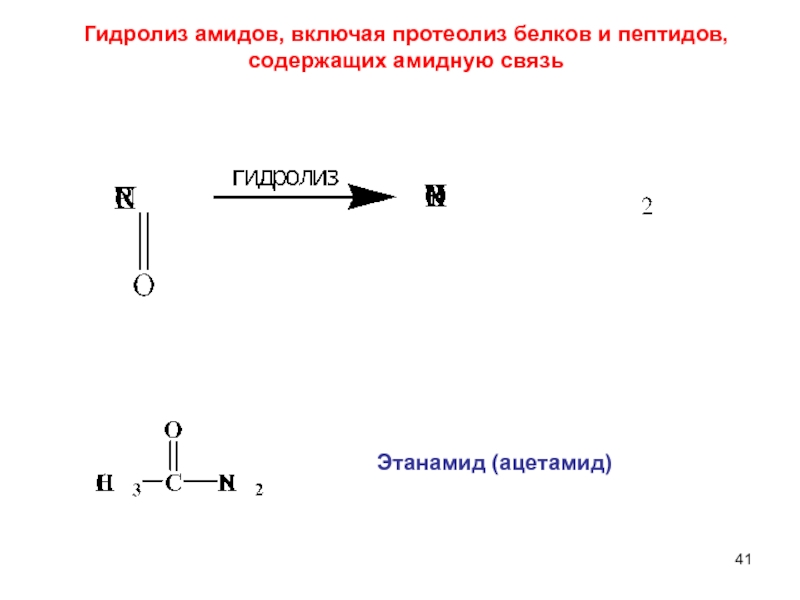 Приведите схему гидролиза белка